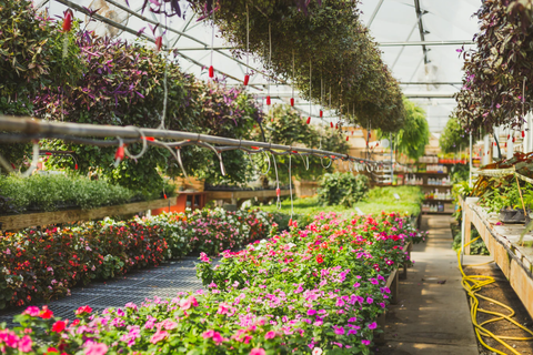 Greenhouses